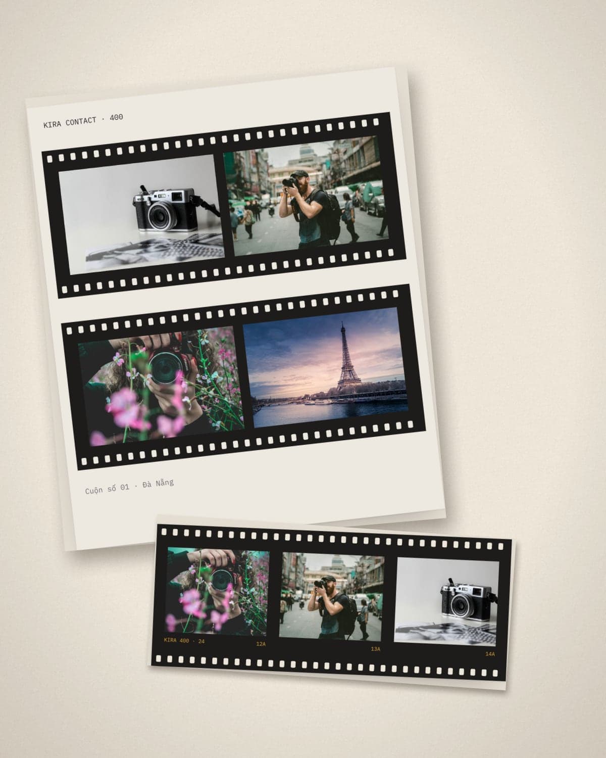 The Contact Sheet and 35mm Roll frames